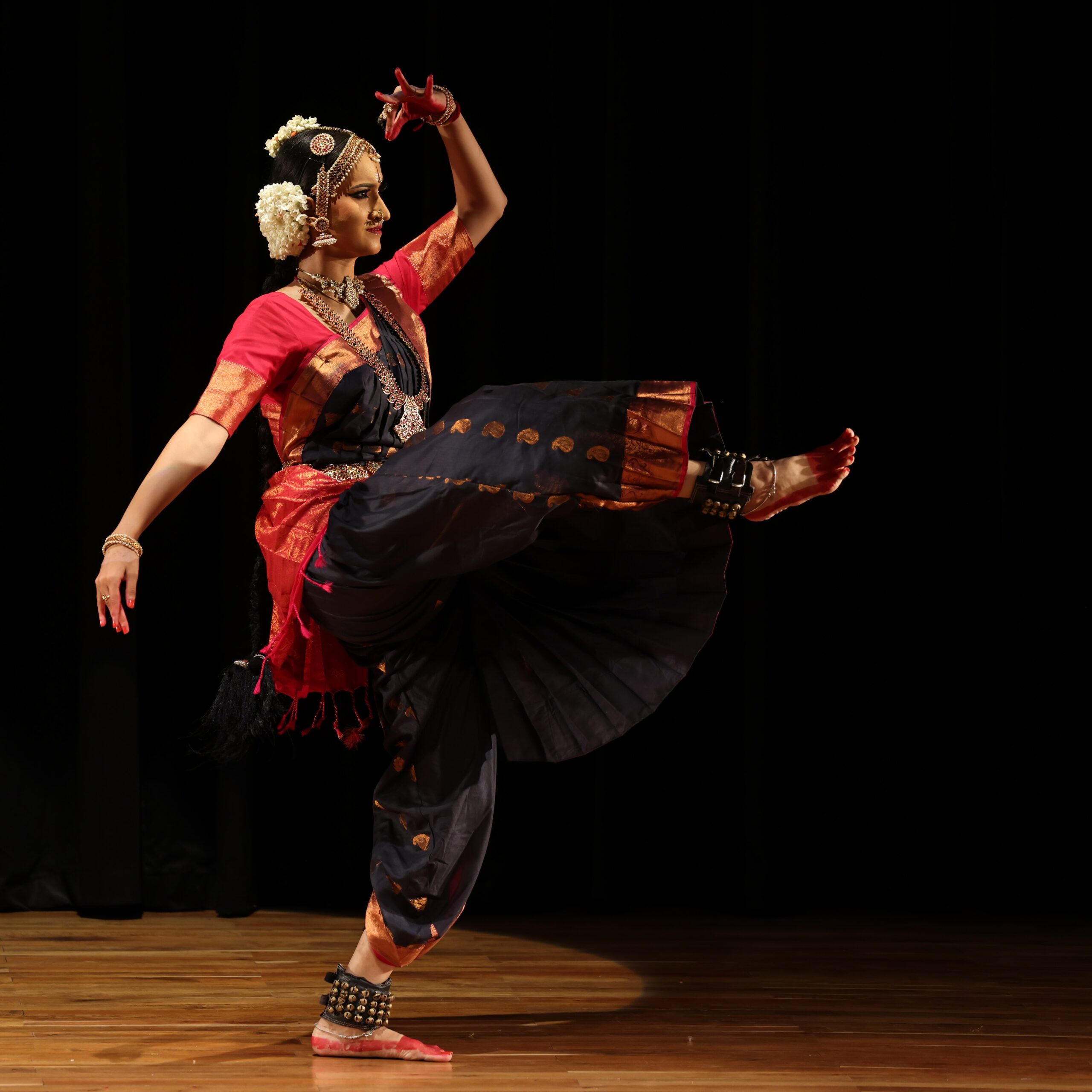 Vandya Mahesh Performances Bharatanatyam Dancer